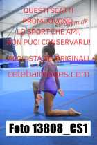 13808_CS1-