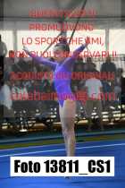 13811_CS1-