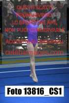 13816_CS1-
