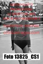 13825_CS1-
