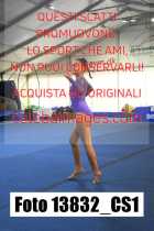13832_CS1-