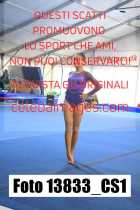 13833_CS1-