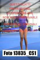 13835_CS1-