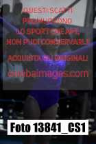 13841_CS1-