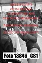 13846_CS1-