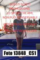 13848_CS1-