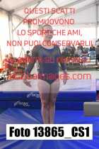 13865_CS1-