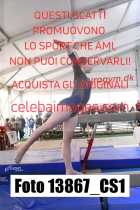 13867_CS1-