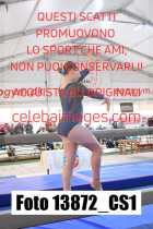 13872_CS1-
