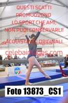 13873_CS1-