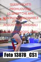 13878_CS1-