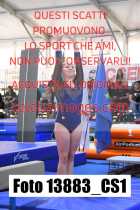 13883_CS1-
