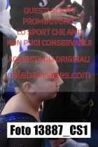 13887_CS1-