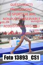 13893_CS1-