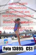 13895_CS1-
