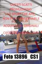 13896_CS1-
