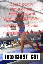 13897_CS1-