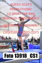13918_CS1-