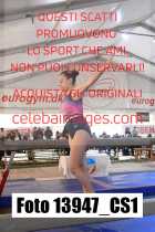 13947_CS1-
