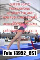 13952_CS1-