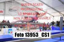 13953_CS1-