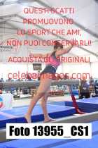 13955_CS1-