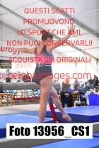 13956_CS1-