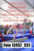 13957_CS1-