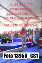 13958_CS1-
