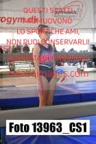 13963_CS1-
