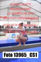 13965_CS1-