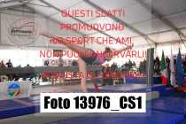 13976_CS1-