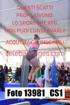 13981_CS1-