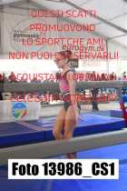 13986_CS1-