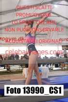 13990_CS1-