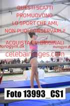 13993_CS1-