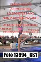 13994_CS1-