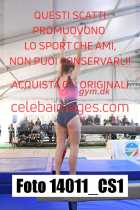 14011_CS1-