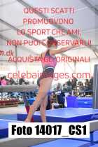 14017_CS1-