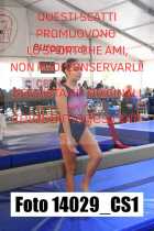 14029_CS1-
