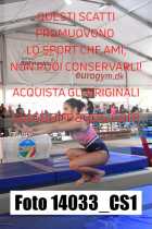 14033_CS1-