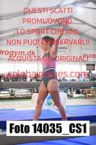 14035_CS1-