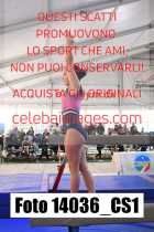 14036_CS1-