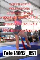 14042_CS1-