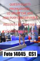 14045_CS1-
