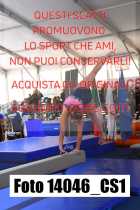 14046_CS1-