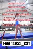 14055_CS1-