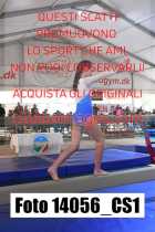 14056_CS1-