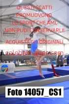 14057_CS1-