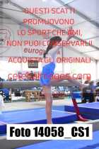 14058_CS1-